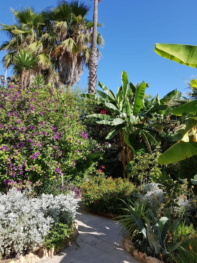 Deluxe Studio Athos 50 Mp Garden Patio Benalmadena Golf & Beach Экстерьер фото