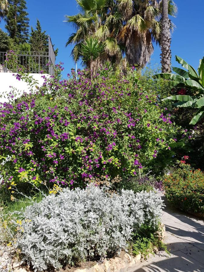 Deluxe Studio Athos 50 Mp Garden Patio Benalmadena Golf & Beach Экстерьер фото