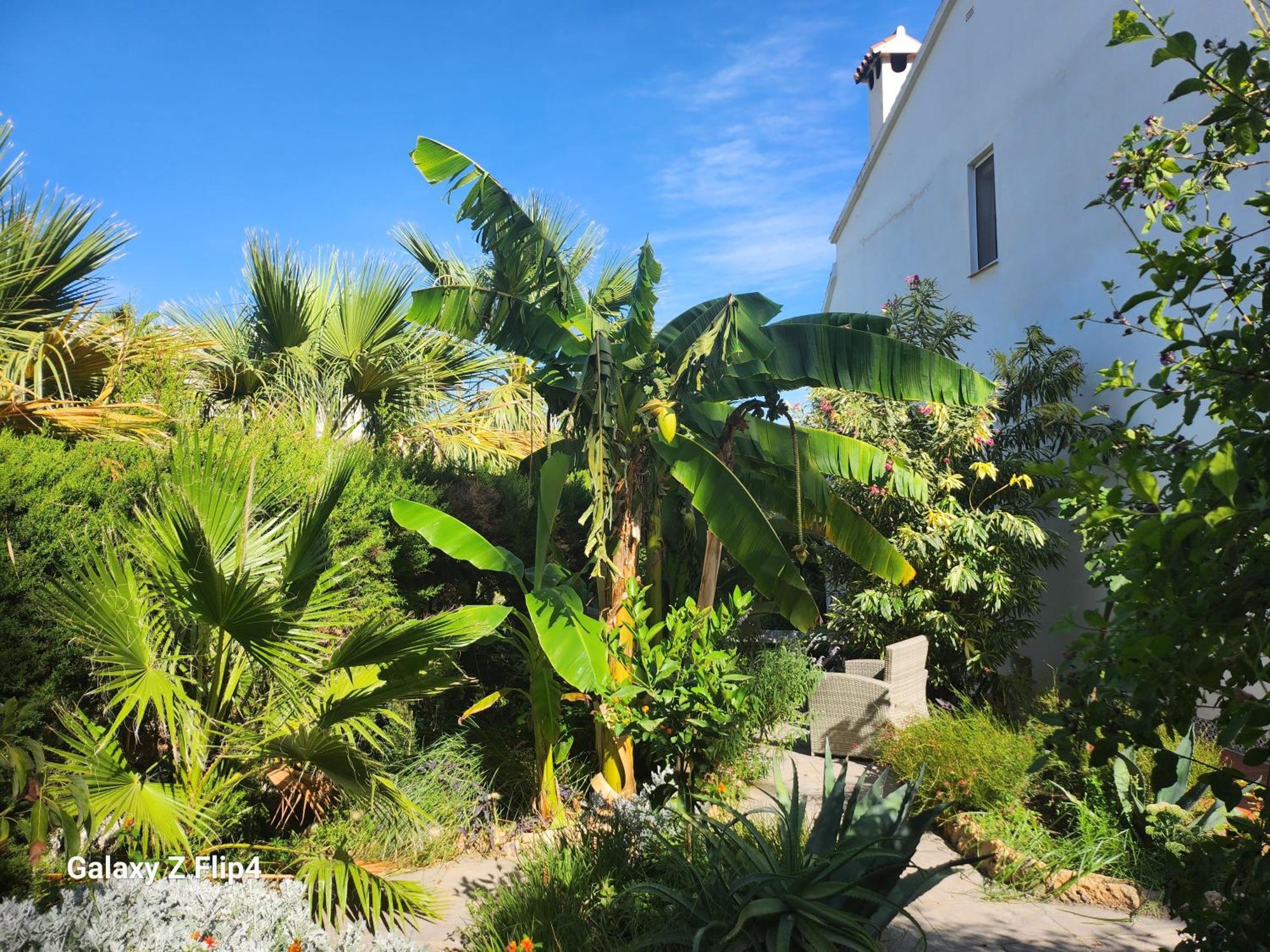 Deluxe Studio Athos 50 Mp Garden Patio Benalmadena Golf & Beach Экстерьер фото