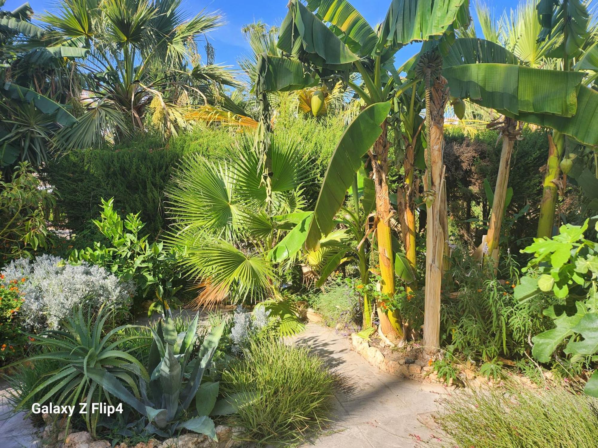 Deluxe Studio Athos 50 Mp Garden Patio Benalmadena Golf & Beach Экстерьер фото