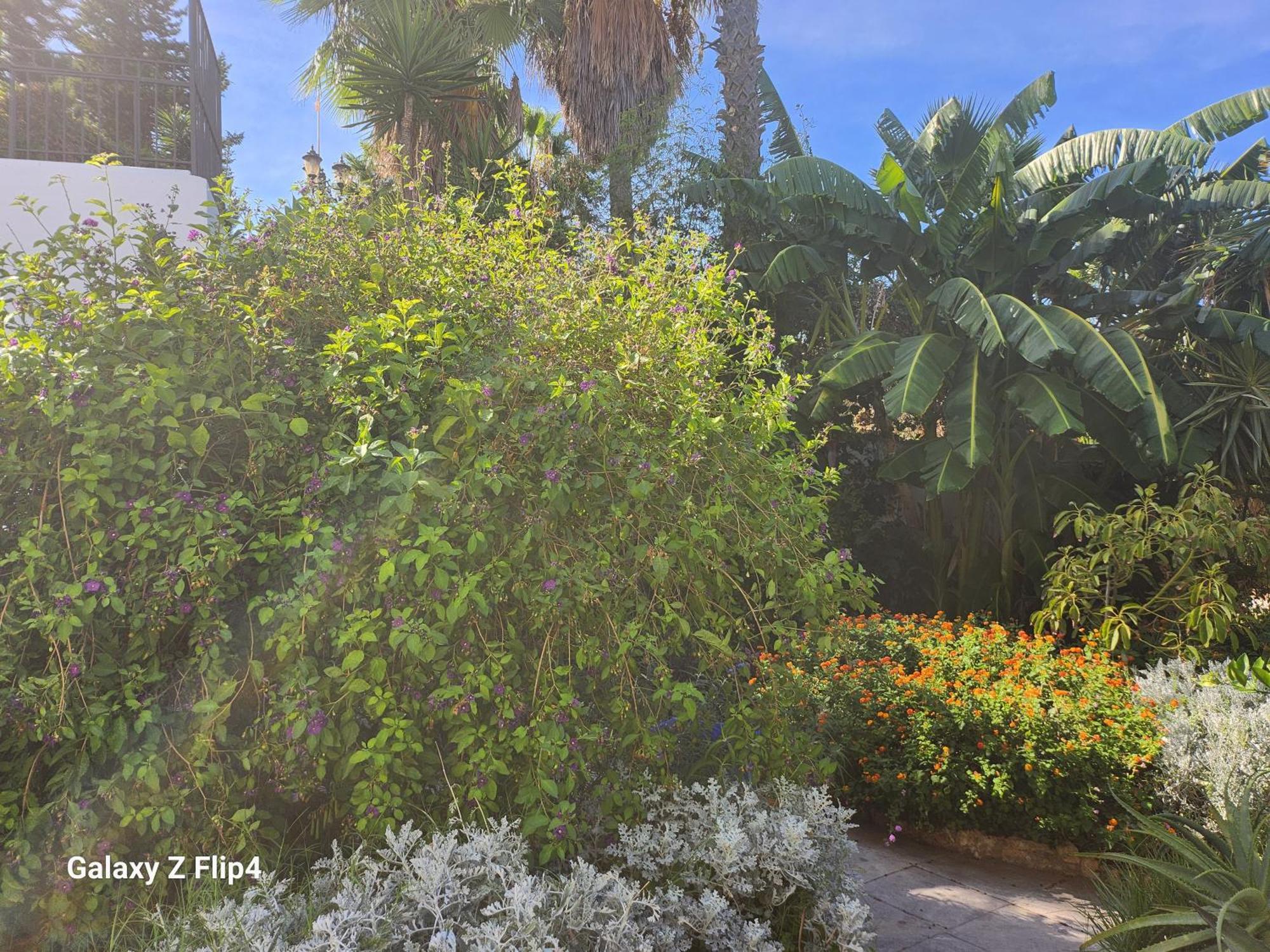 Deluxe Studio Athos 50 Mp Garden Patio Benalmadena Golf & Beach Экстерьер фото